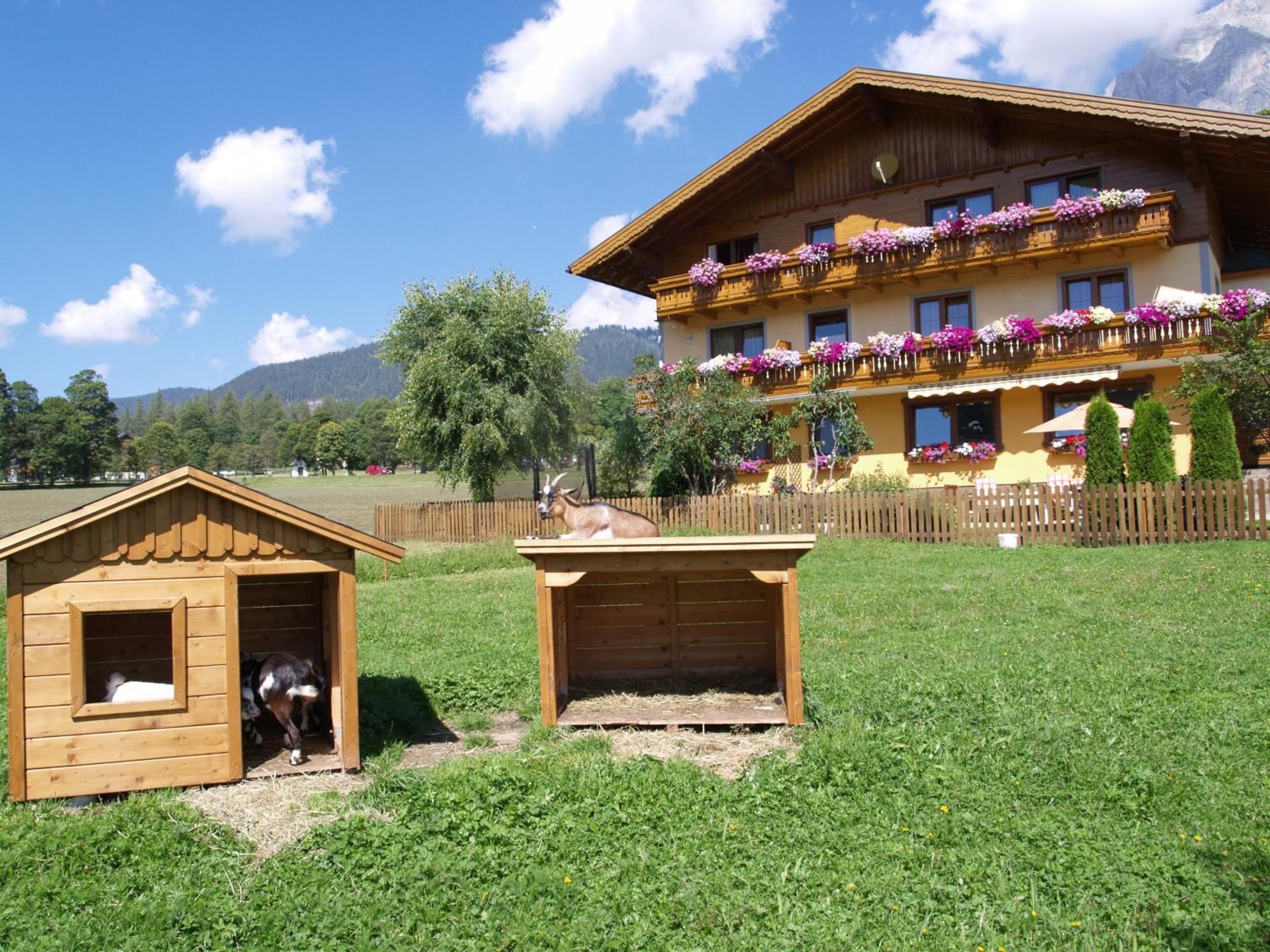 Ferienwohnung Alpenecho Ramsau am Dachstein Esterno foto